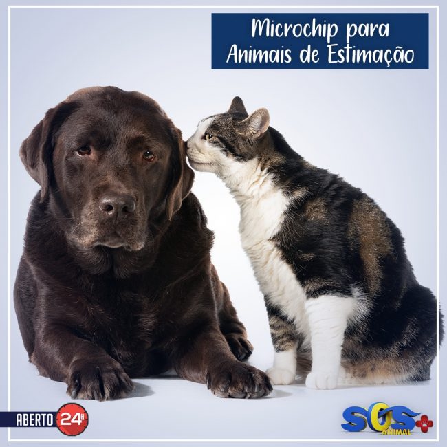 Microchip para animais de estimação
